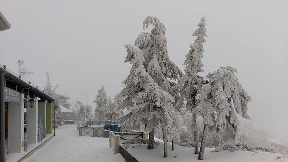 En Borreguiles disfrutan de la nieve a bajo cero 