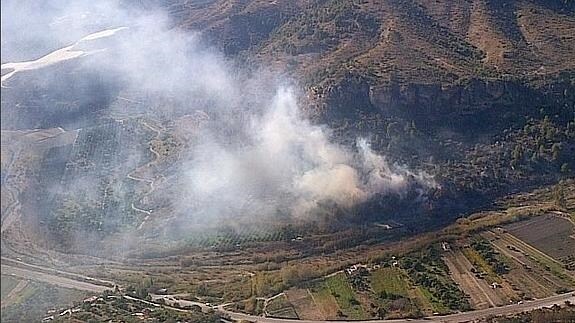 Controlado el incendio forestal en un pinar de Vélez Benaudalla