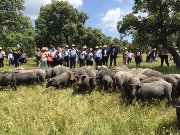 Los miembros de la comisión visitan una finca de dehesa en la provincia de Córdoba. 