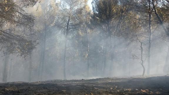 Controlado el incendio de Siles