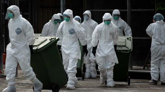 Un niño muerto en Siberia y 86 personas ingresadas (51 menores) por un brote de ántrax