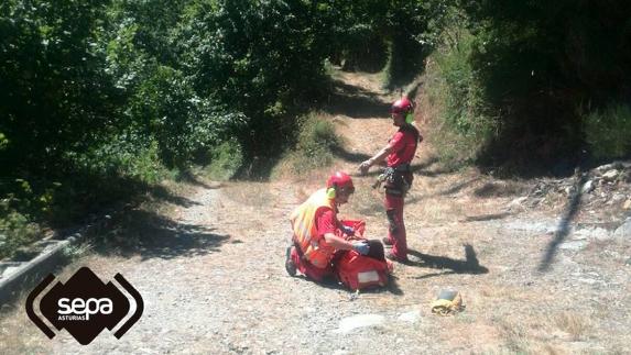 Herido grave en la cabeza tras recibir una coz de una yegua