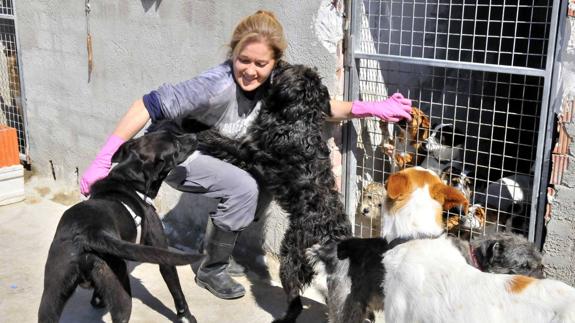 Los perros acogidos en las instalaciones de Arconatura reciben cariño y buenas atenciones en el tiempo de estancia. 