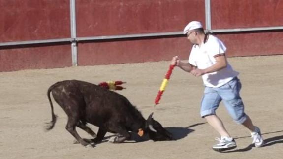 Un vídeo de PACMA denuncia la crueldad con becerros de pocos meses