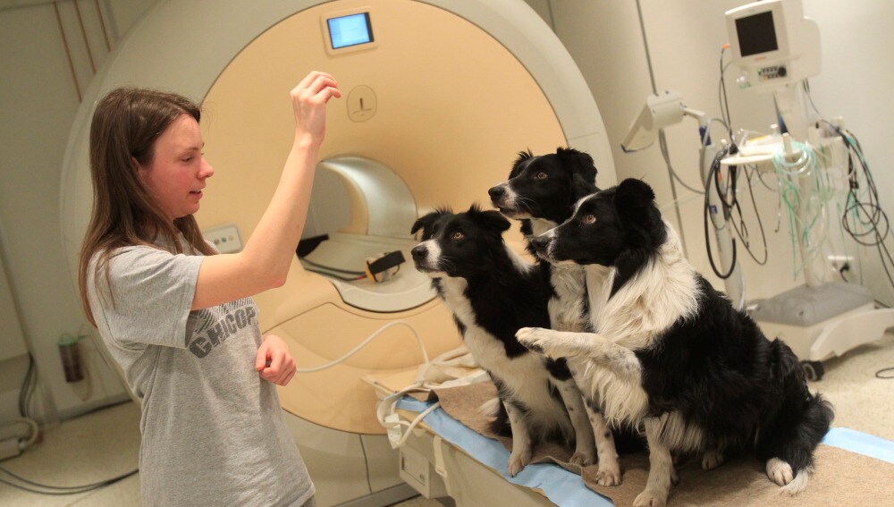 Dora Kettinger habla con sus perros después del examen de los Clincs neurológicos en Budapest.