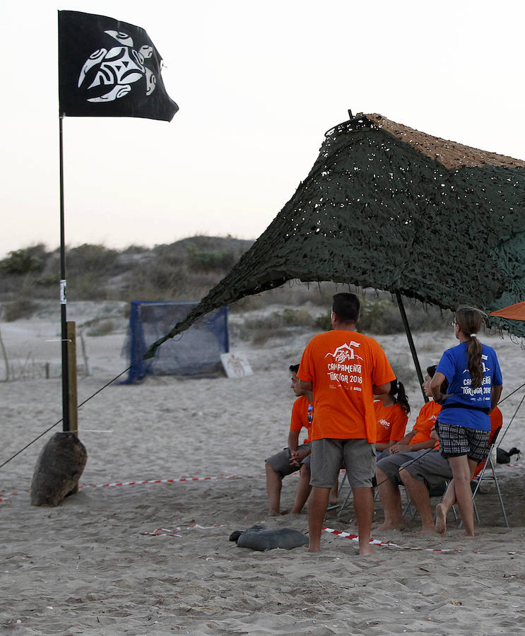 Voluntarios en el campamento de la playa de El Saler, en Valencia, donde ondea la bandera con la silueta de una tortuga boba.Al fondo, los nidos protegidos por una malla.