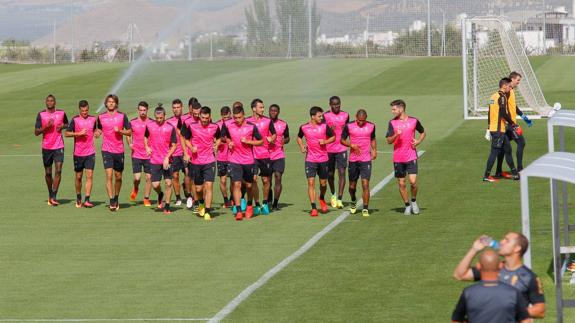 La nueva plantilla del Granada va cogiendo forma. 