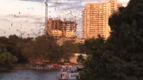 El impactante espectáculo de 15 millones de murciélagos juntos