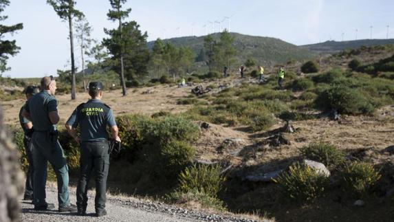 Búsqueda para dar con Diana. 