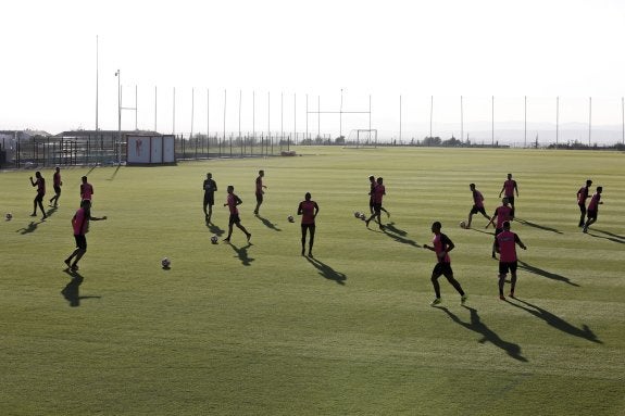 Los jugadores del Granada se ejercitan en el césped de la Ciudad Deportiva mientras preparan la salida a Mendizorroza. 