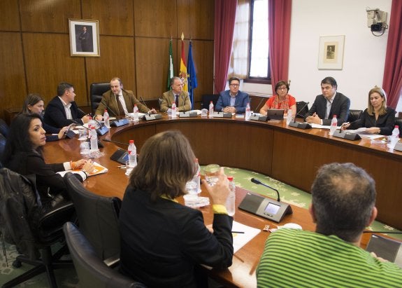 Un momento de una de las sesiones de la comisión parlamentaria de los cursos de formación.