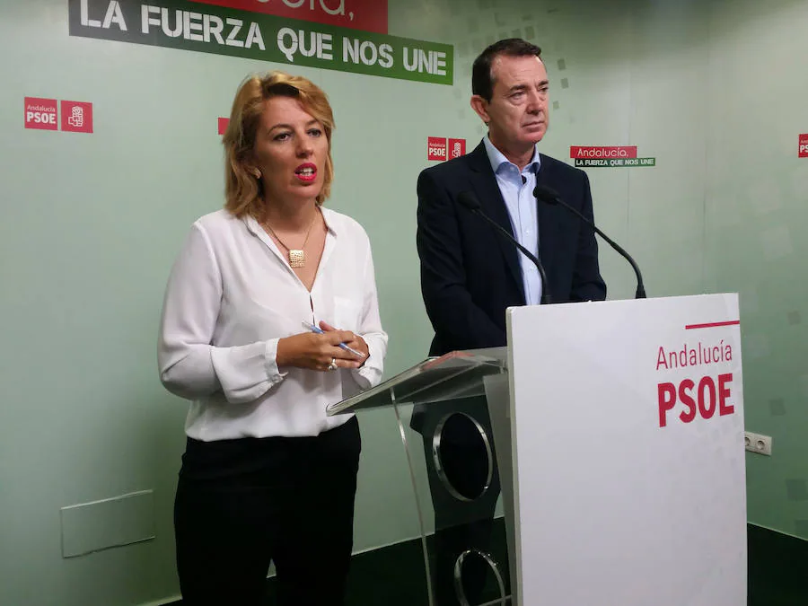 Ferrer señala que el PSOE debe acatar "en su totalidad" la abstención a la investidura de Rajoy