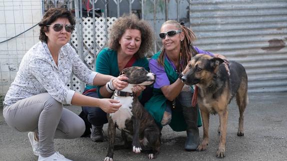 Las voluntarias de la Asociación de Defensa Animal de la Costa Tropical Charo, Carolina y Lourdes, con los perros Moom y Brus en sus instalaciones de Motril. 