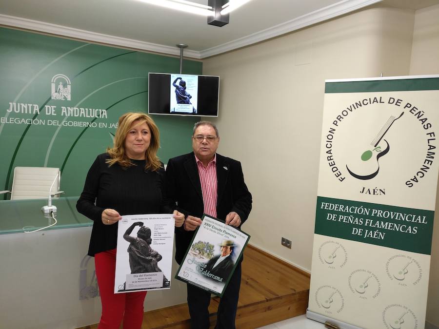 El Día del Flamenco y los circuitos 'A la Verde Oliva' y 'Ocho provincias' ofertan 28 actividades