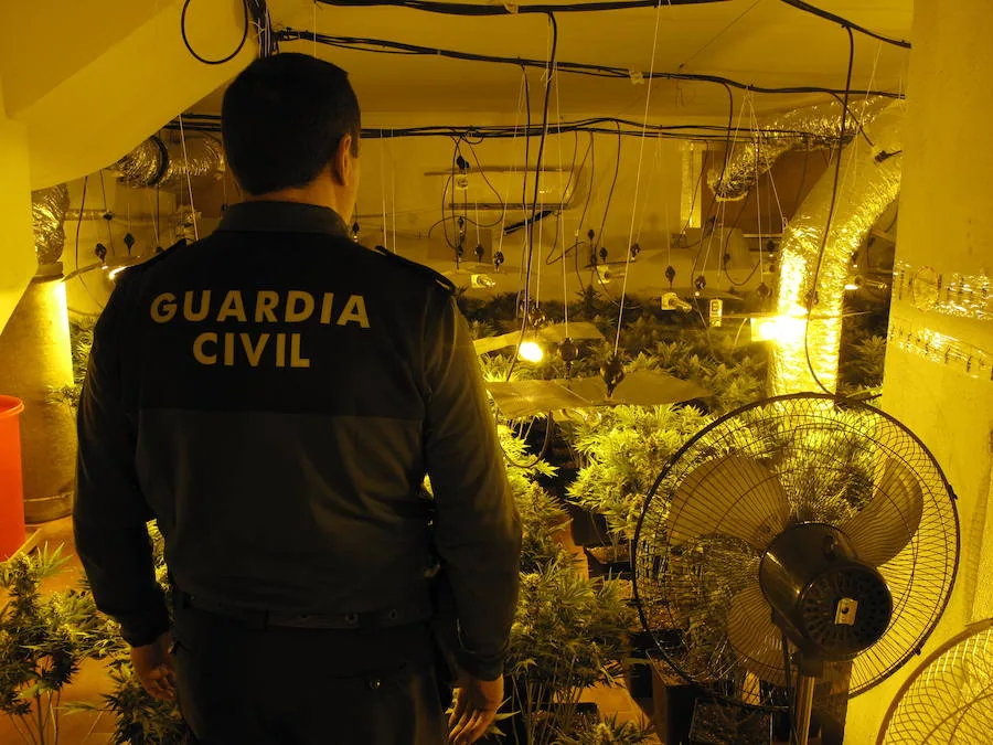 Ante el juez dos vecinos de Jerez por cultivar marihuana en Belicena