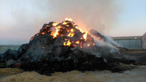 Los bomberos trabajan en la extinción de un fuego en una vaquería cercana a Las Infantas