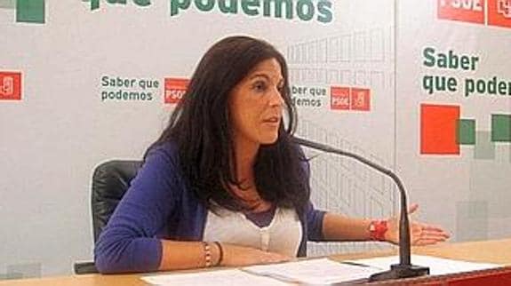 PSOE e IU insisten en pedir la dimisión de la subdelegada