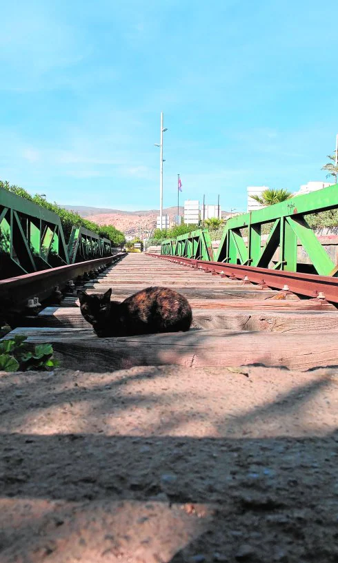 El antiguo puente del tren sobre la Rambla es a día de hoy un testimonial monumento.