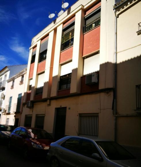 Desde este edificion tiró al animal el hombre. 