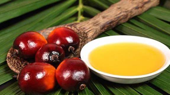 La OCU advierte de los peligros del aceite de palma, presente en muchos productos
