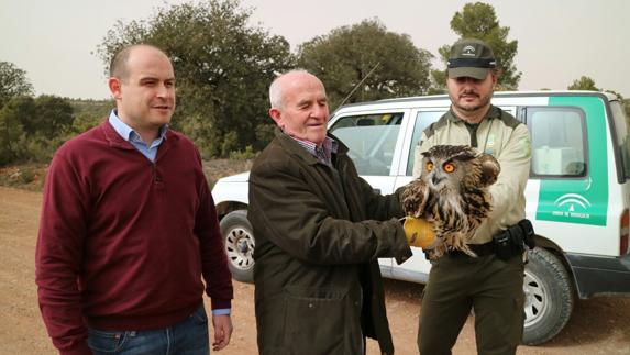 Liberan a un búho real en un paraje de Oria