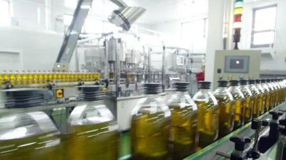 Jaén consigue una de las diez mejores producciones aceite de oliva en 30 años
