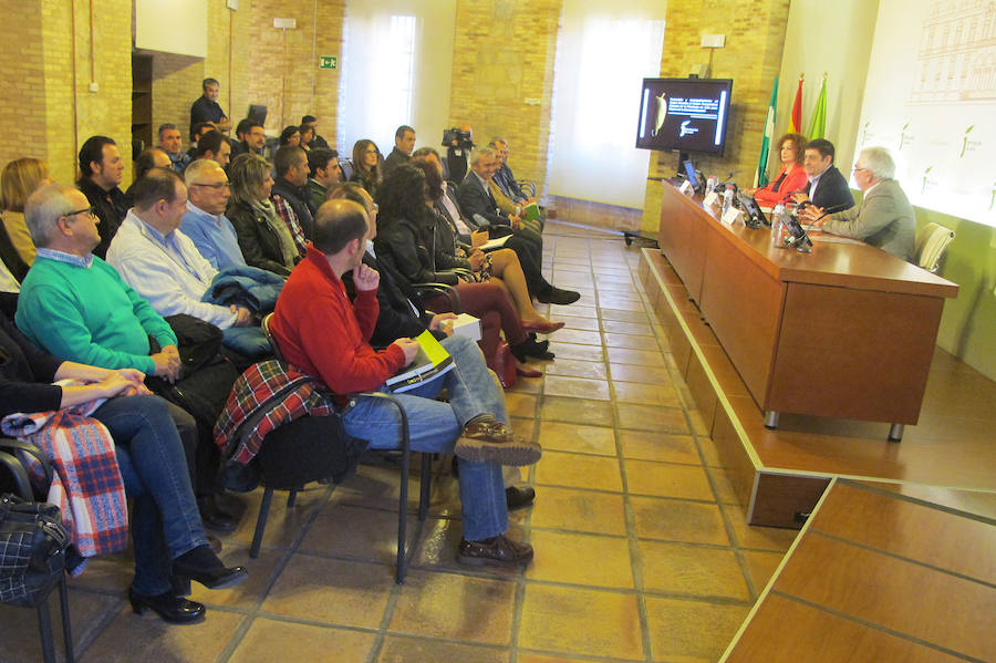 Diputación impulsa la formación en redes sociales y comercio electrónico para cooperativas oleícolas