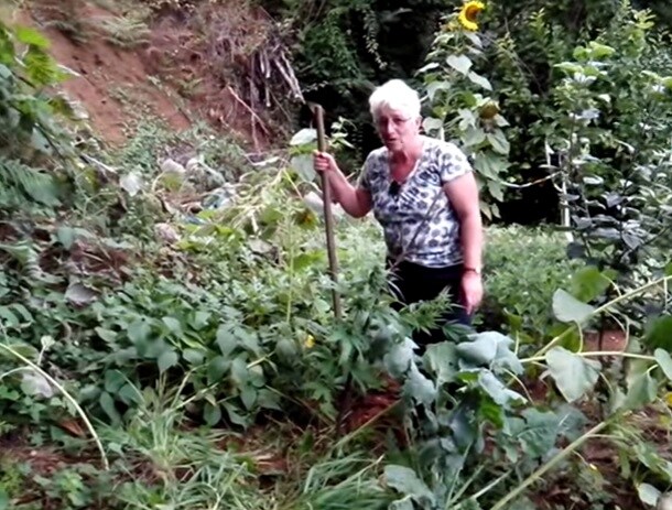 Dos ancianas gallegas encuentran marihuana en su huerto: "Nos van a llevar presas"