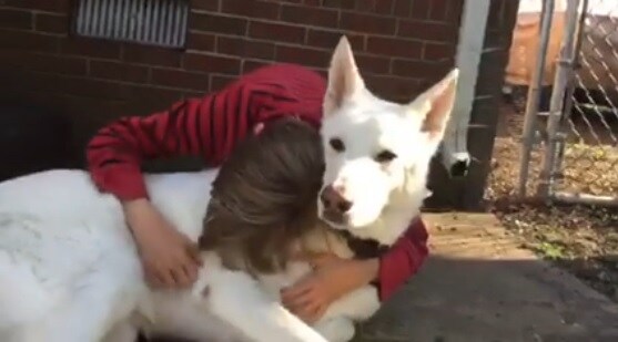 El emotivo reencuentro de un niño con un perro al que considera su mejor amigo