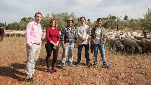 La Alhambra recupera el pastoreo en la zona del olivar de la Dehesa del Generalife