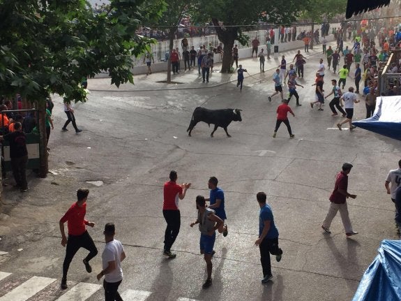 Una de las reses recorre las calles de Beas de Segura.