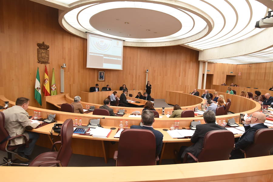 El pleno de la Diputación insta al CGPJ a ubicar en Granada las nuevas secciones del TSJA