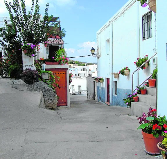 La flores predominan en las calles de la localidad. 