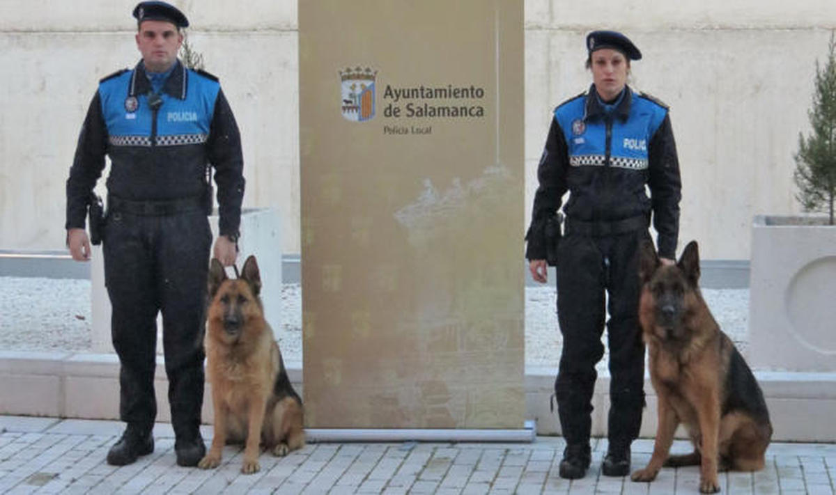 La Policía Local incorpora perros para la detección de drogas