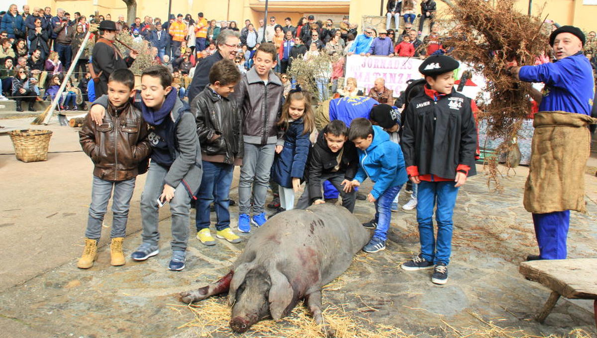 Guijuelo inicia cinco fines de semana para ensalzar la matanza típica