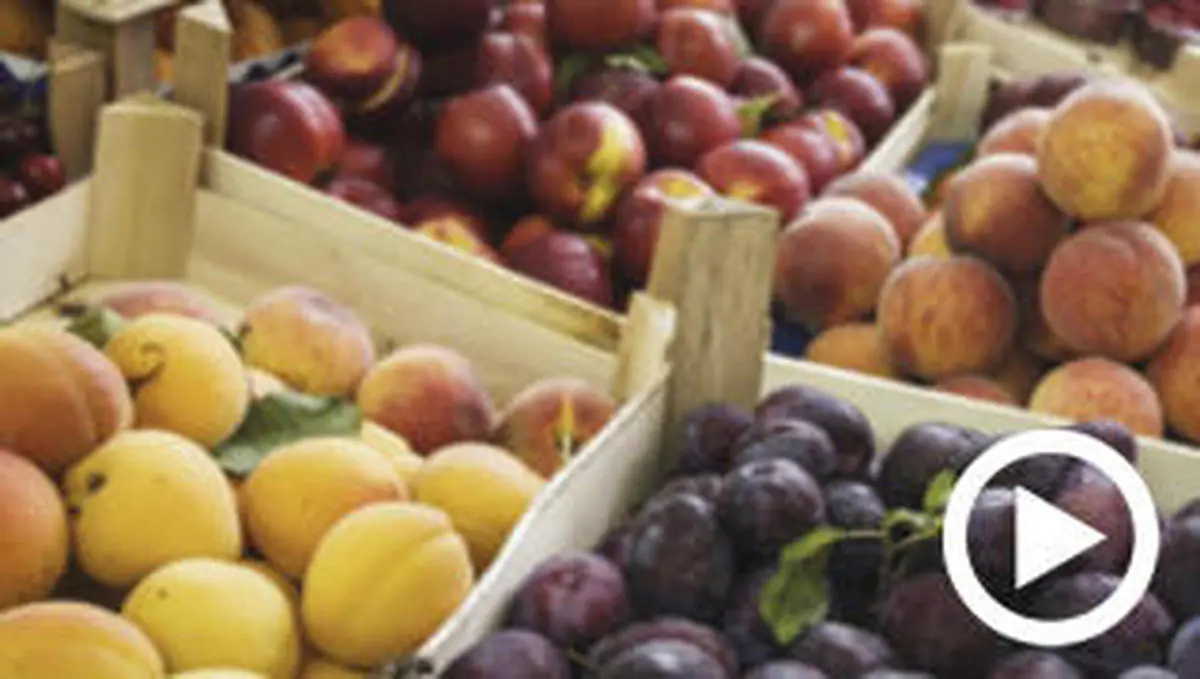 La frutería de la Plaza de Día ofrece a sus clientes los productos más variados al mejor precio
