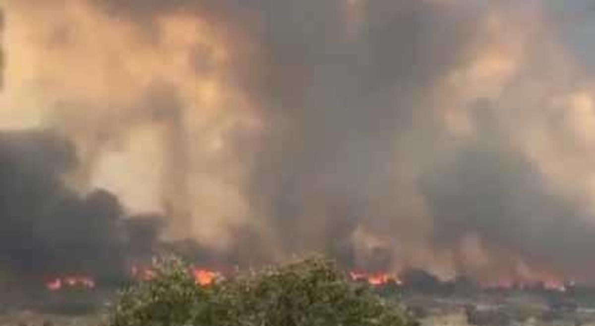 El fuego claramente intencionado de Fermoselle (Zamora) se extiende hacia Salamanca y Portugal