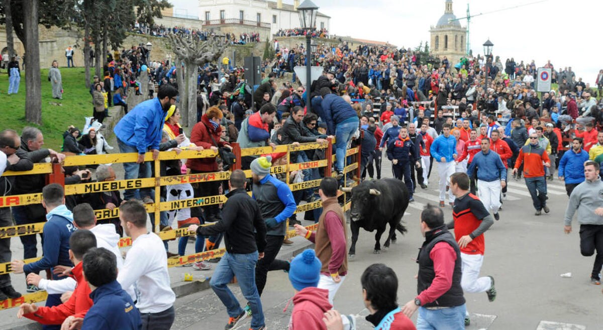 Ciudad Rodrigo cuelga el cartel de no hay billetes para disfrutar de las Fiestas