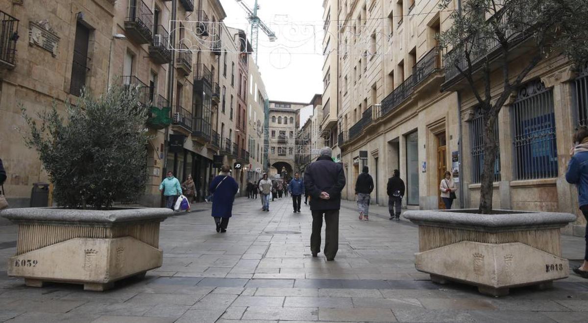 Dispositivo especial de la policía en las zonas comerciales de Salamanca para evitar robos 'navideños'