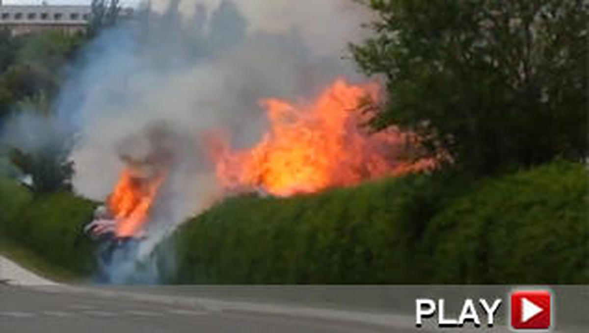 Incendio de setos en la calle Rector Madruga