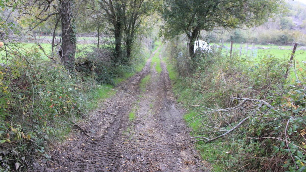 Ciclistas denuncian la aparición de 'trampas' en caminos rurales de Salamanca