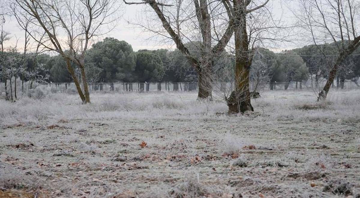 Las carreteras se preparan para la llegada inminente de la nieve