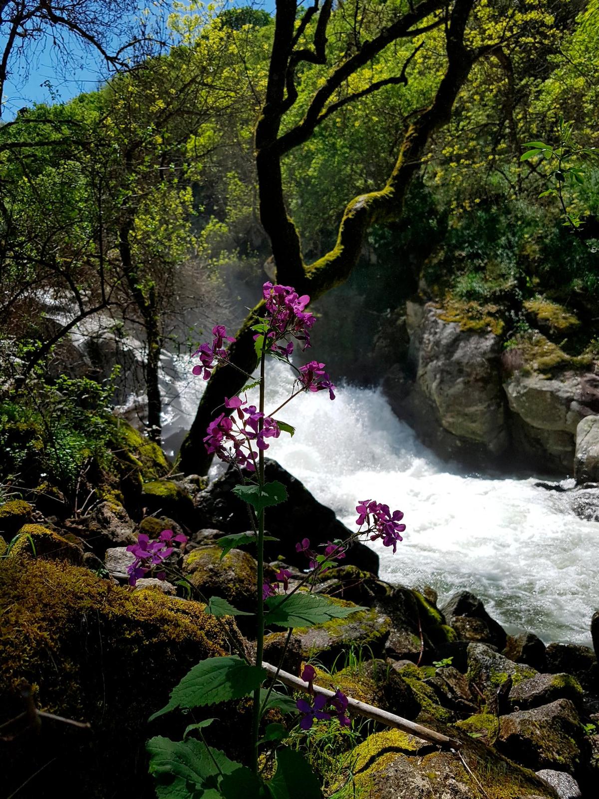 Explosión de naturaleza en el río Cuerpo de Hombre