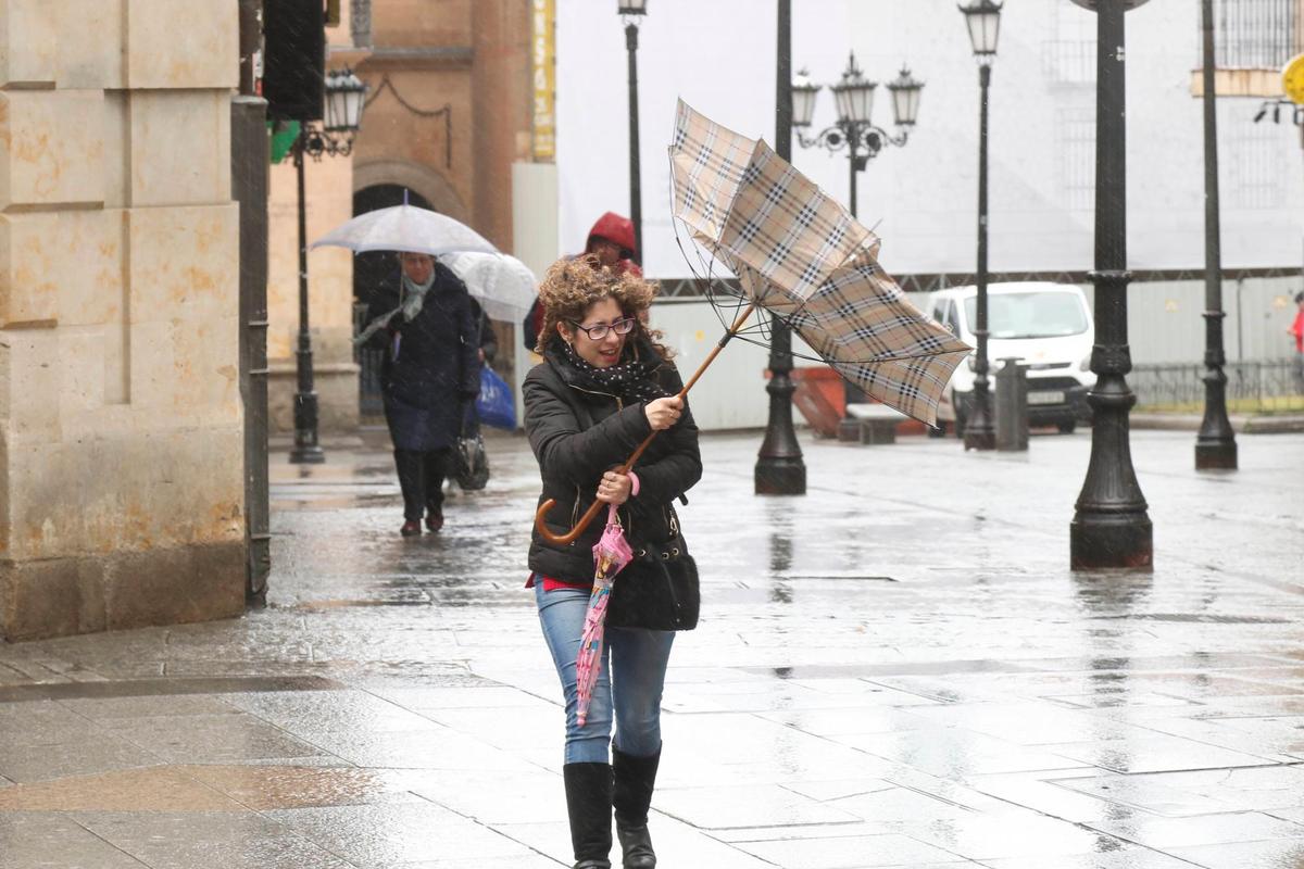 El efecto del viento en un paraguas este miércoles en Salamanca.