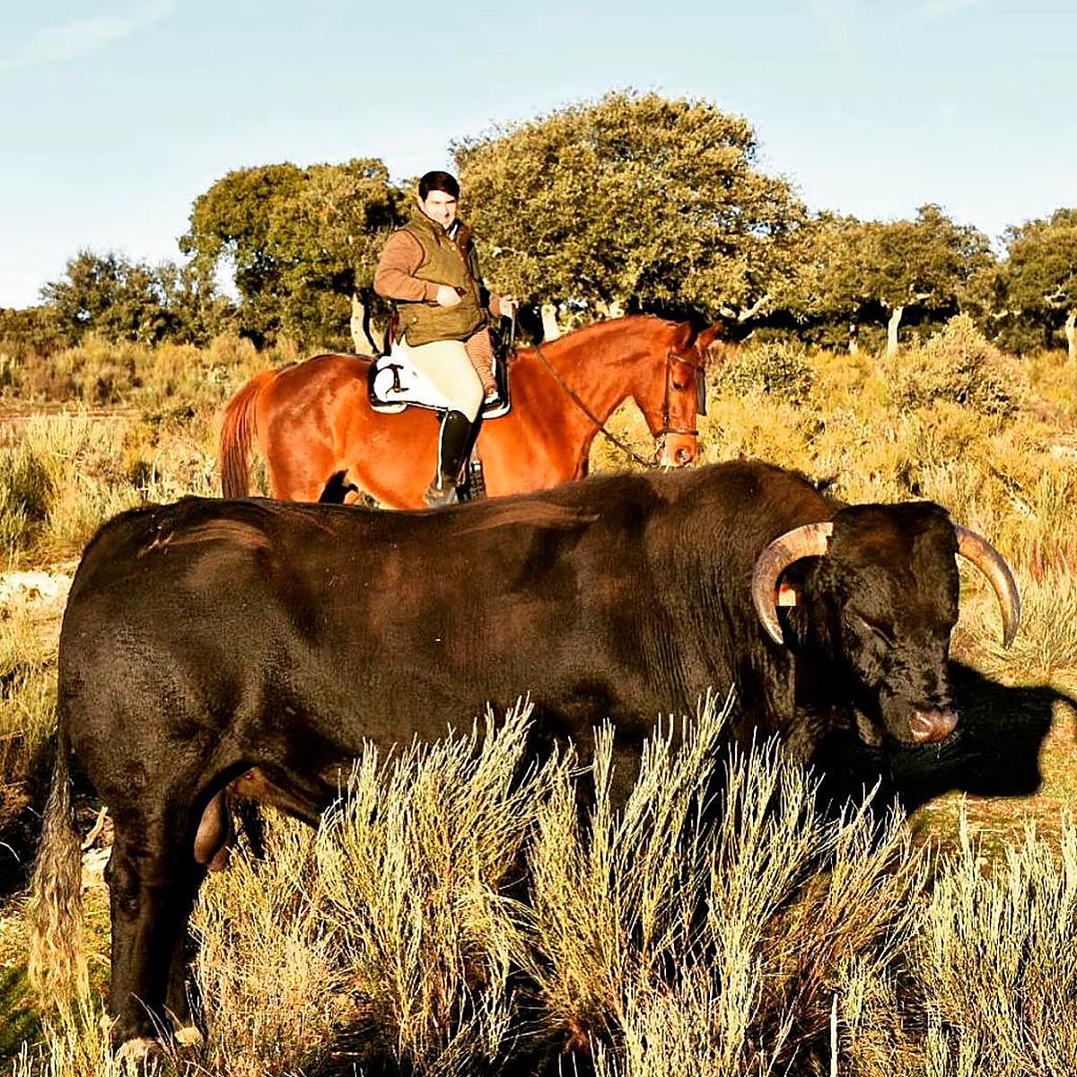 Sergio Nieto junto a un semental de raza wagyu en su explotación de Villarmayor.