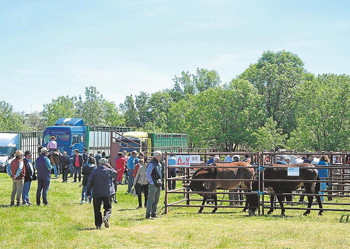 El recinto ferial de Lumbrales acoge otro año más la Feria Ganadera y de Maquinaria Agrícola