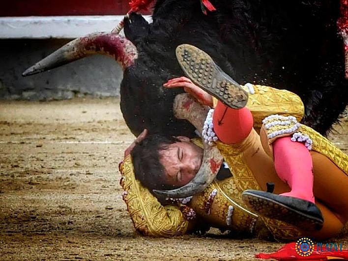Juan del Álamo momentos después de la espectacular voltereta.