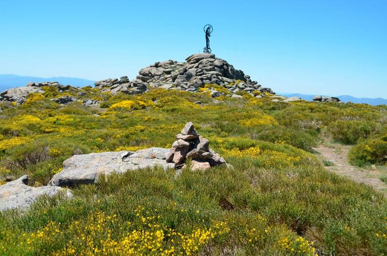 La floración de las ‘escobas’ está en pleno proceso y tiñe ya las cimas de la Sierra de Béjar.