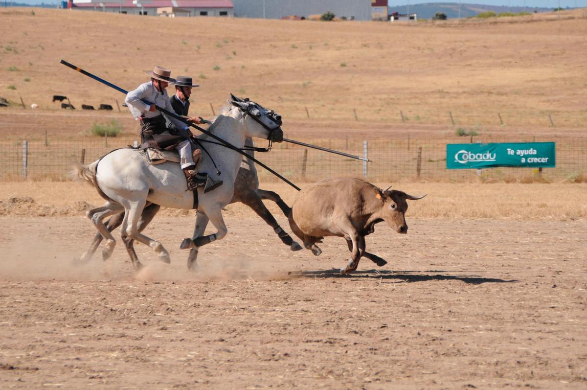 Una pareja de garrochistas, en un campeonato de Acoso y Derribo en Ciudad Rodrigo.