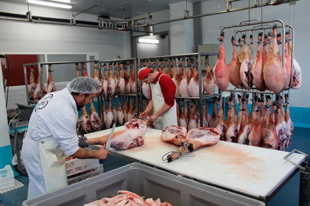 Trabajadores en una sala de despiece de una fábrica salmantina.